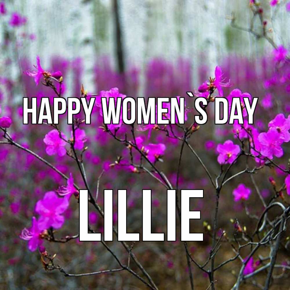 Greetings card с именем, Lillie happy women`s day дикие цветы Greetings with text for free download 